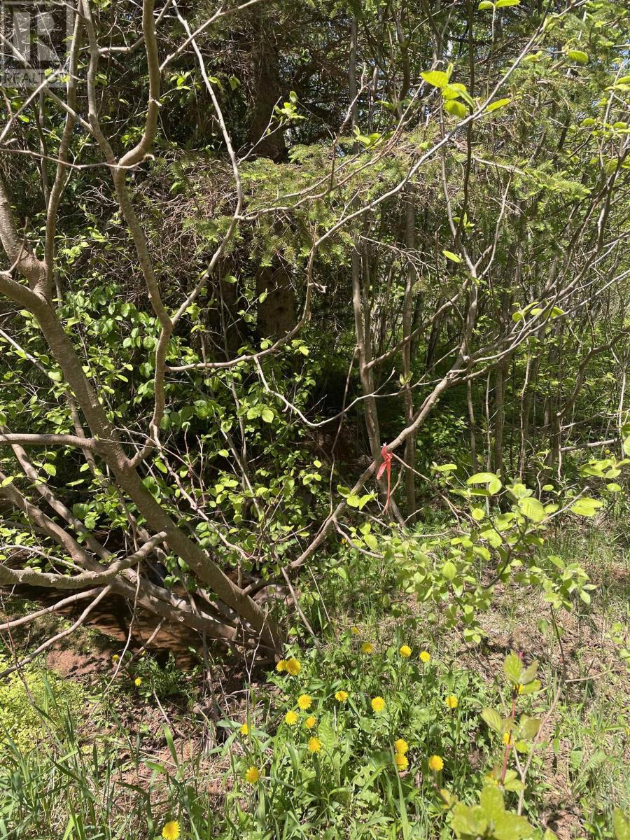 Glenwood Property Photo 5