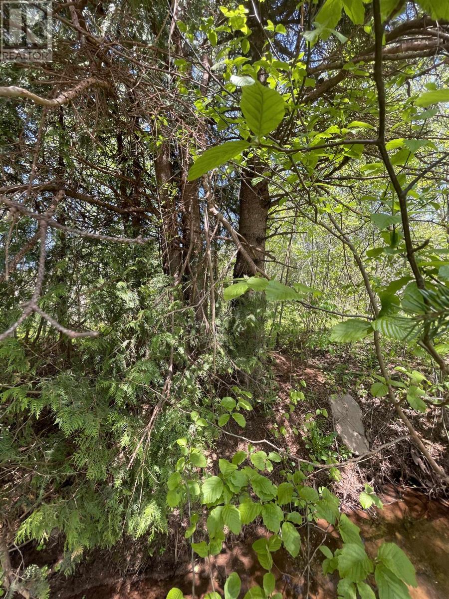 Glenwood Property Photo 7
