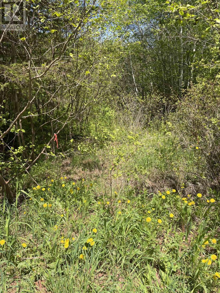 Glenwood Property Photo 10
