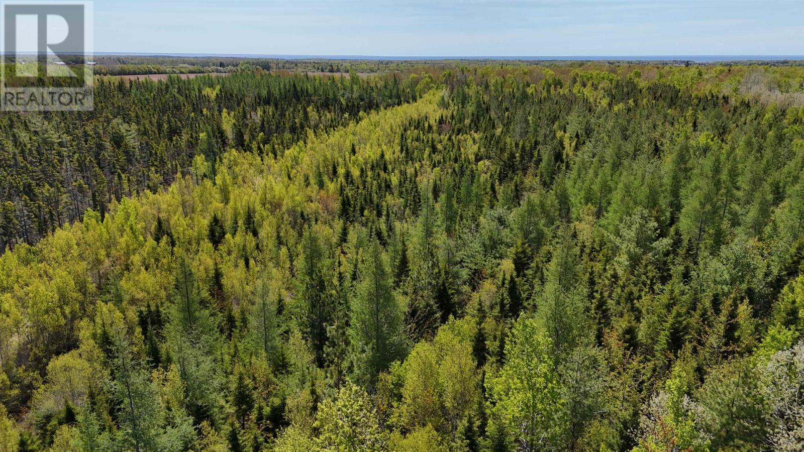 Glenwood Property Photo 15