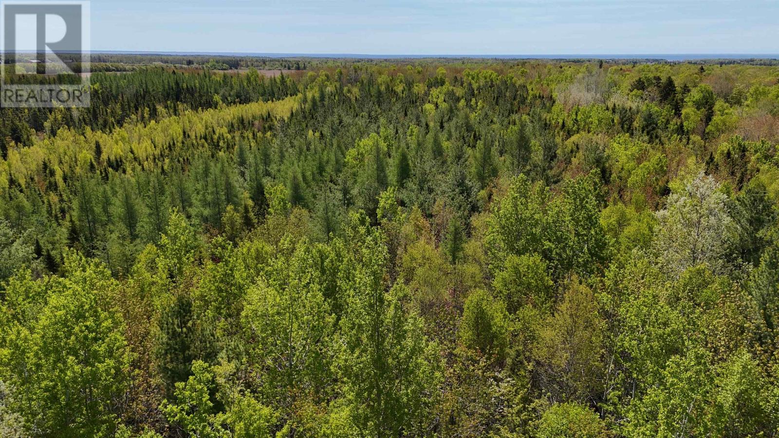 Glenwood Property Photo 16