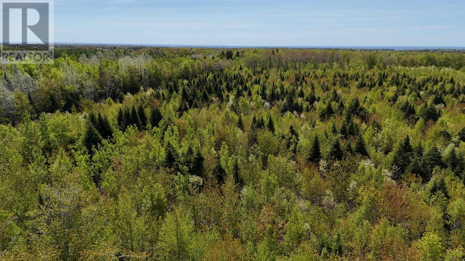 Glenwood Property Photo 19