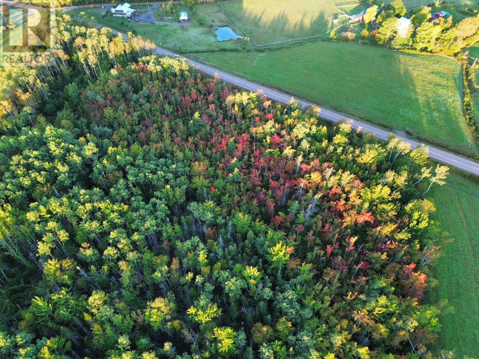 Highway 246 Property Photo 2