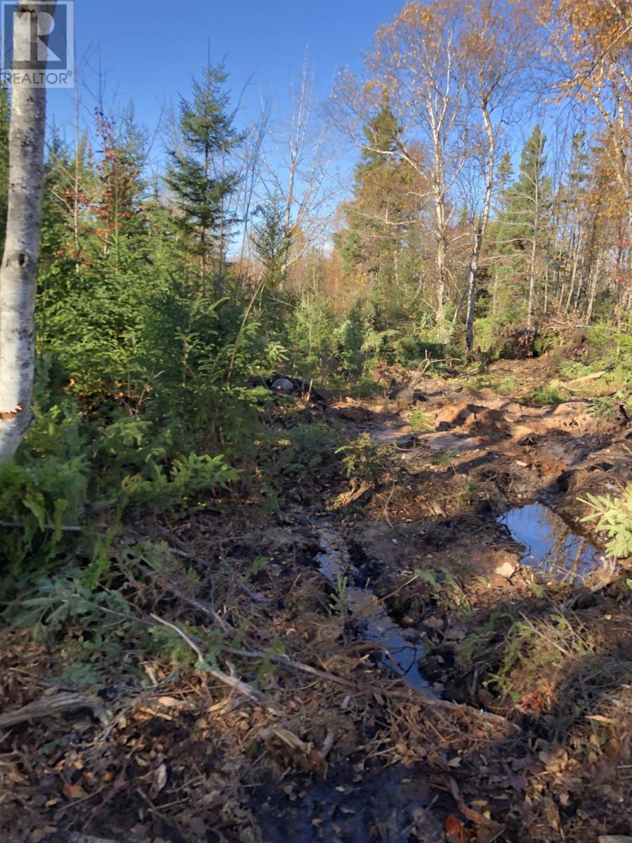 Lot 07-1 Highway 223 Property Photo 2