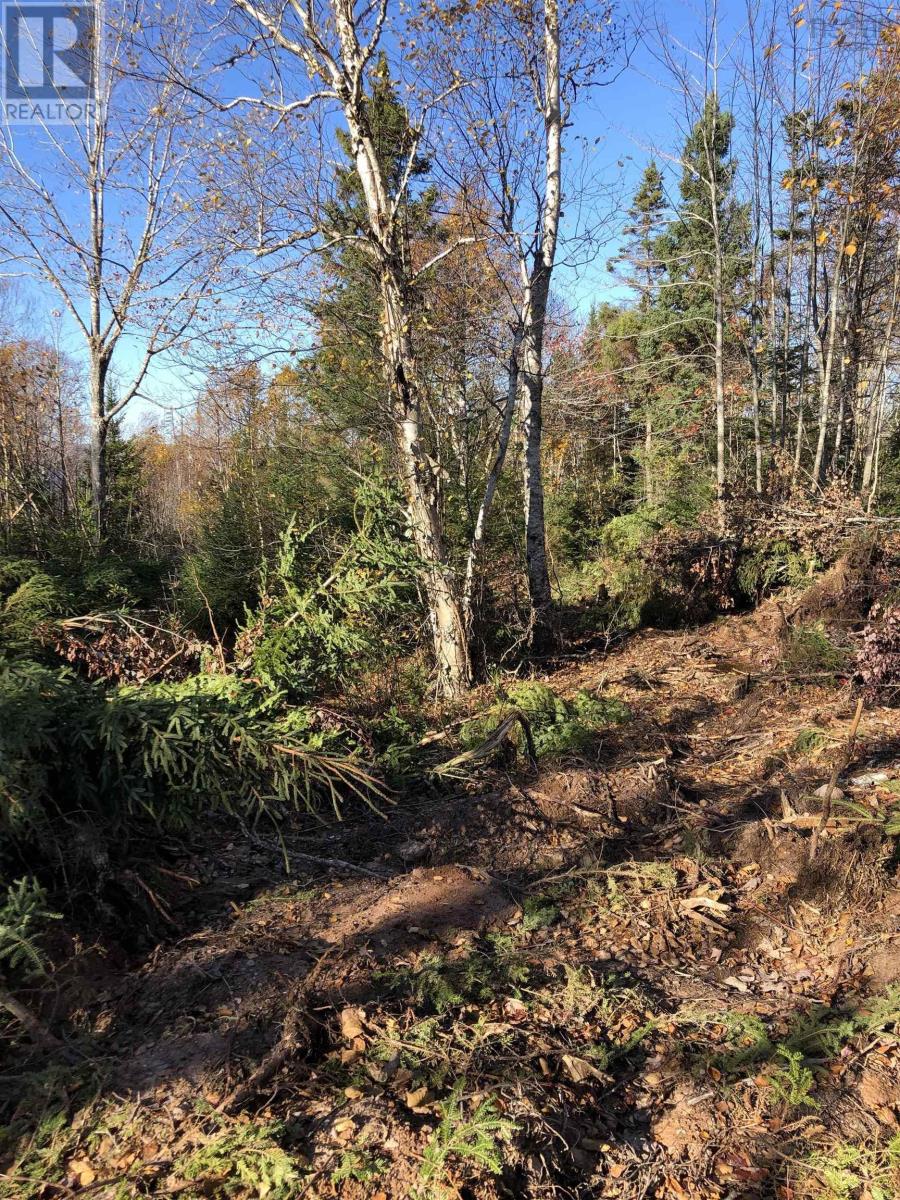 Lot 07-1 Highway 223 Property Photo 3