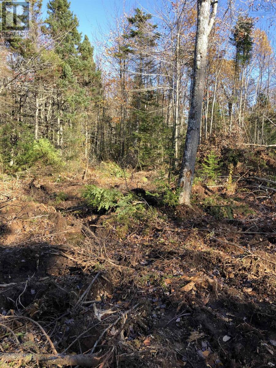Lot 07-1 Highway 223 Property Photo 4