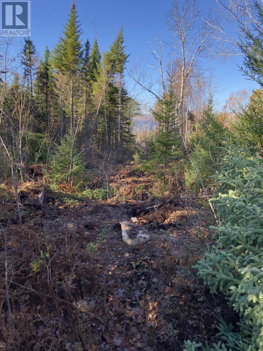 Lot 07-1 Highway 223 Property Photo 5