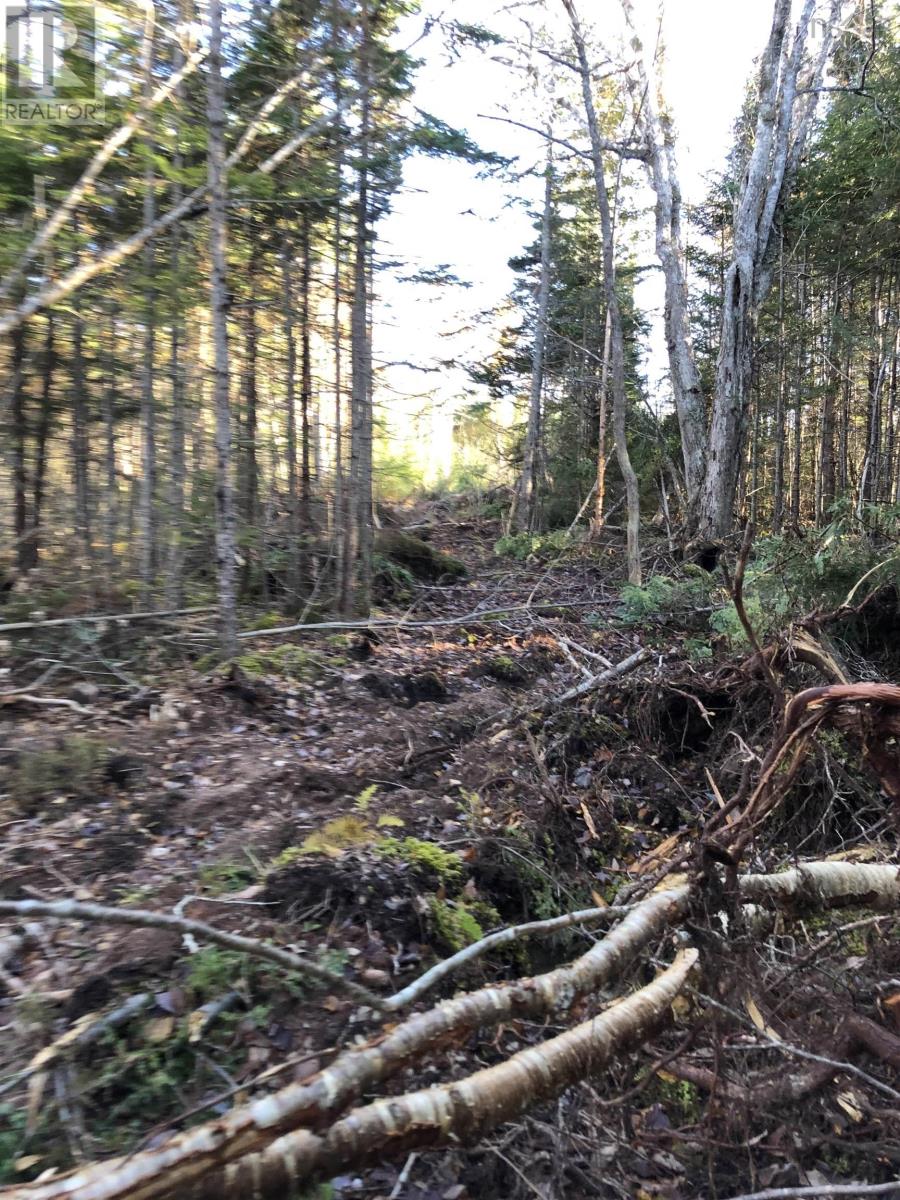 Lot 07-1 Highway 223 Property Photo 6