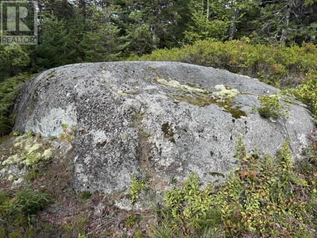 Lot 2 Tupper Lake Property Photo 14
