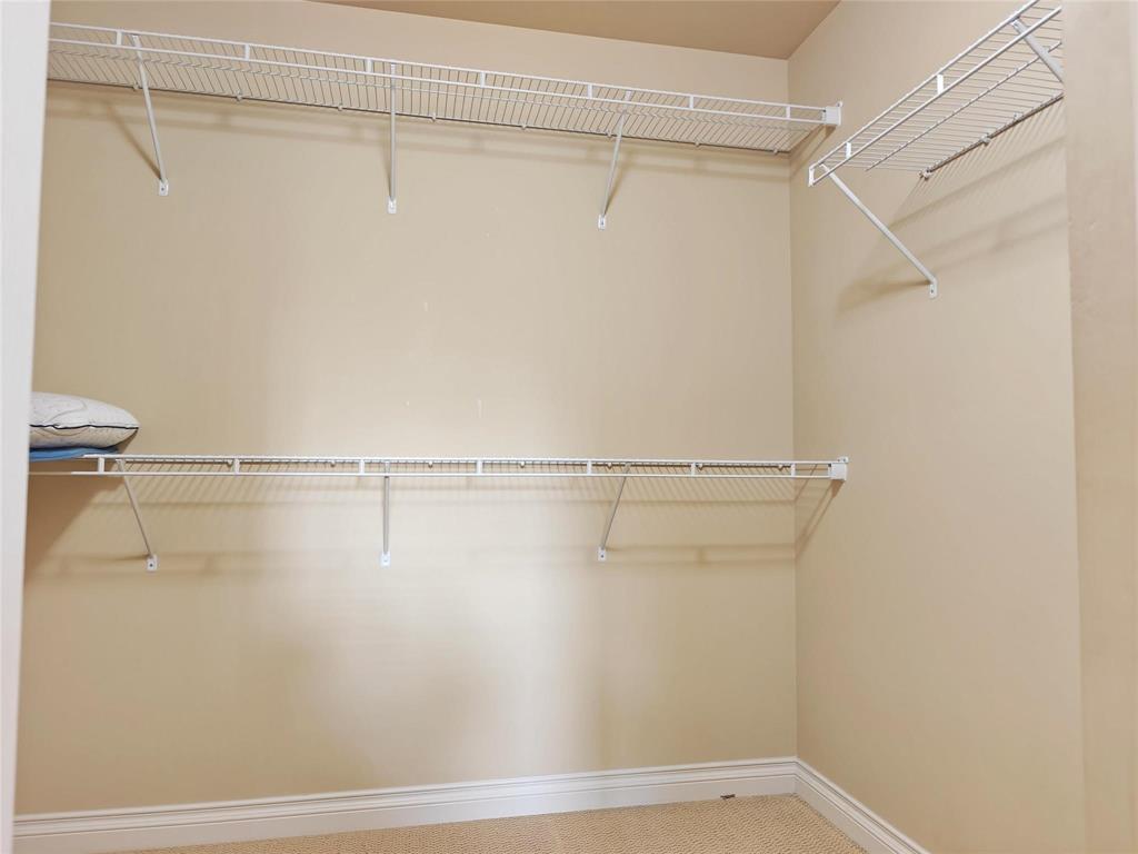 6 Millbank Avenue Property Photo 29