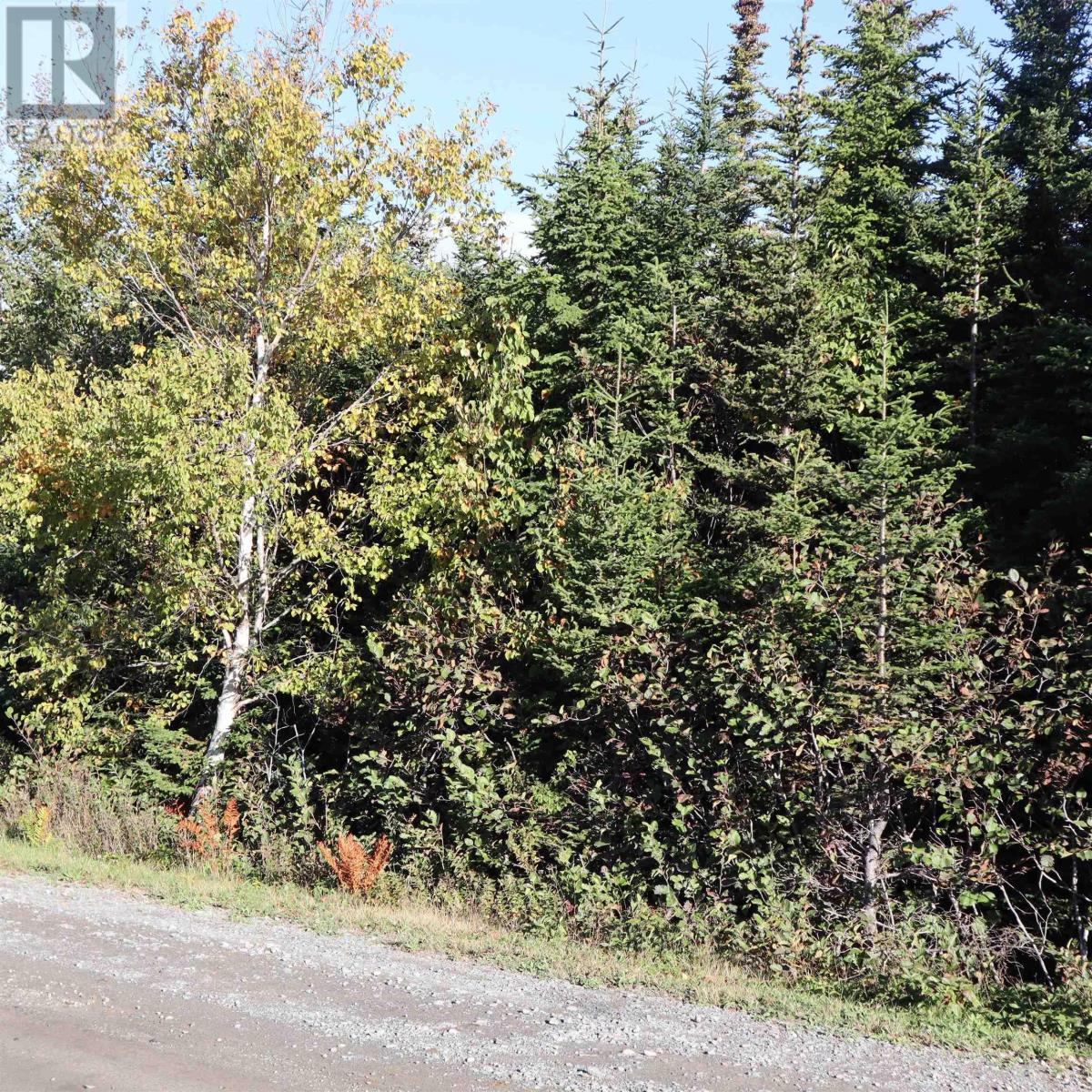 Lot 77 Nebooktook Walk Property Photo 5