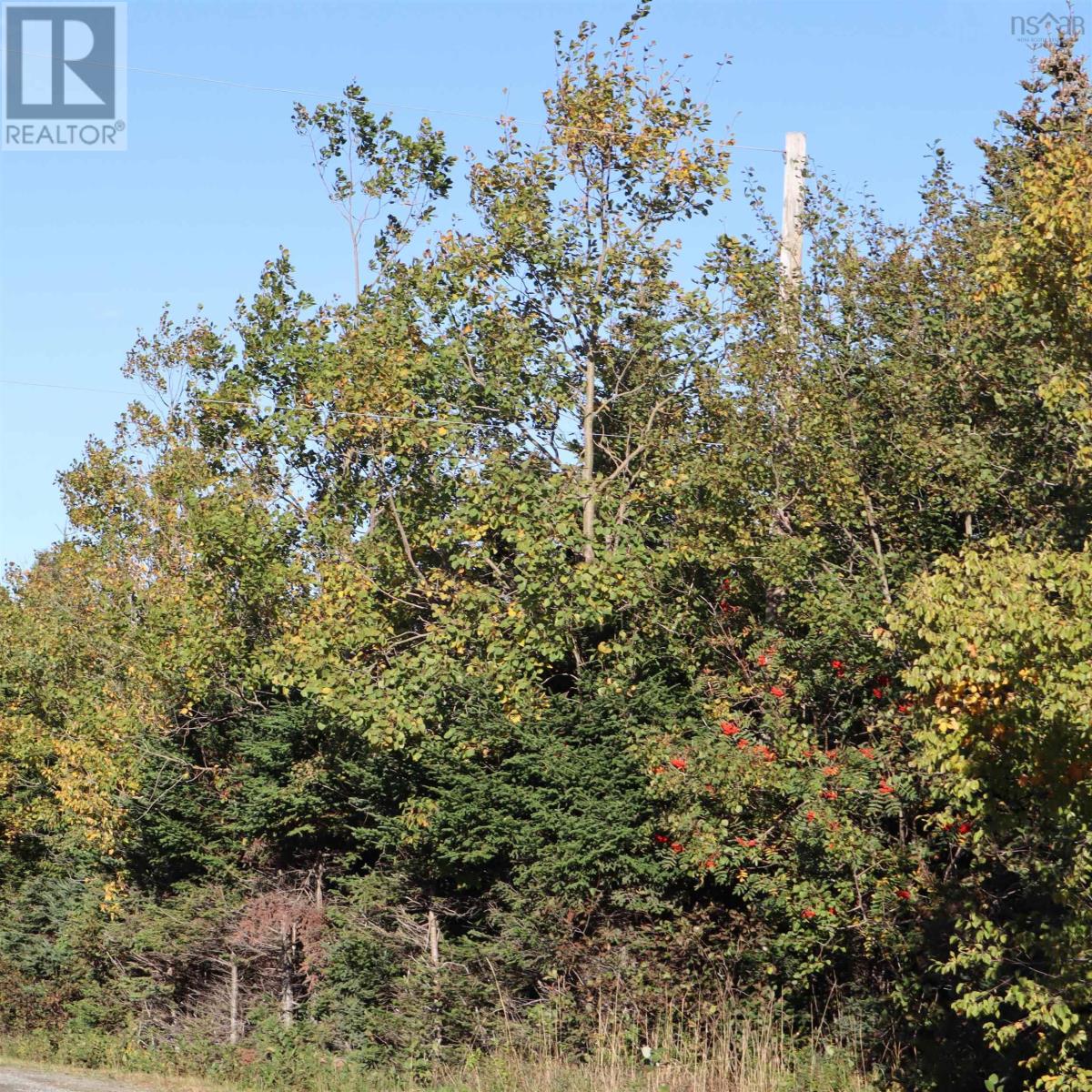 Lot 77 Nebooktook Walk Property Photo 13
