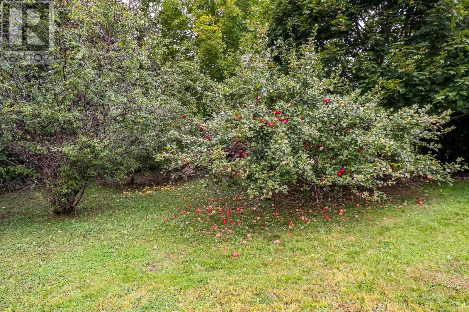 788 Highway 341 Property Photo 44