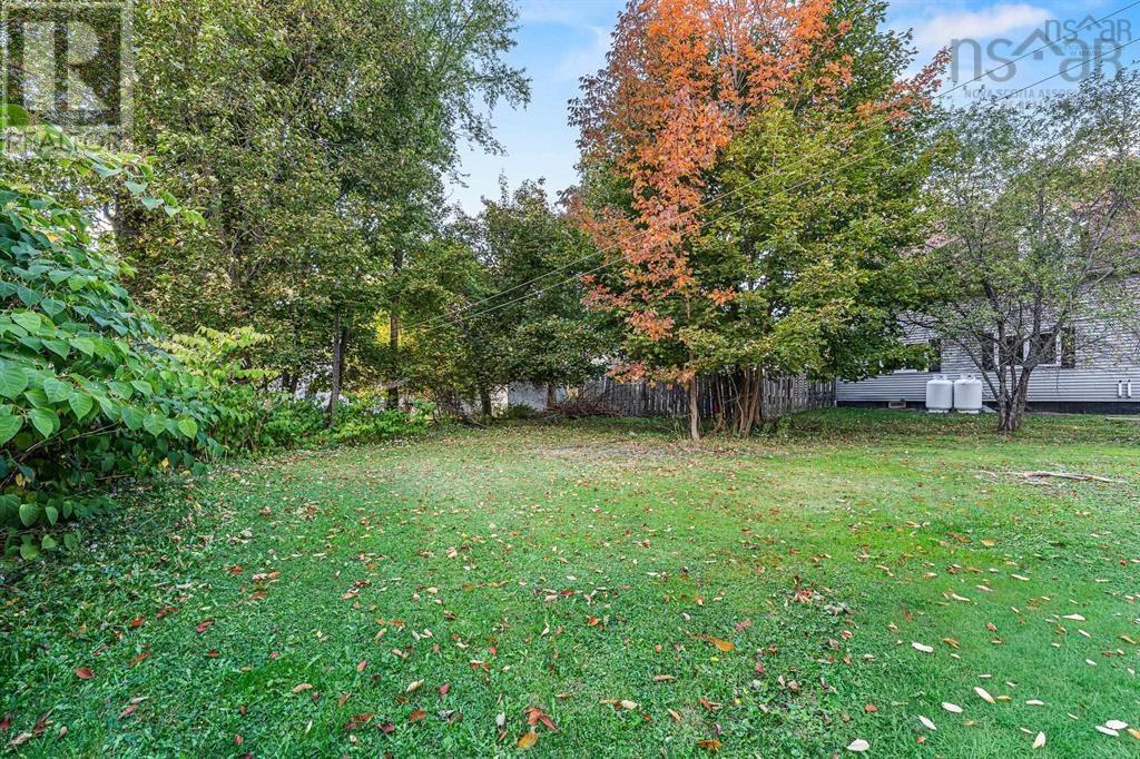 217-219 Albert Street Property Photo 30