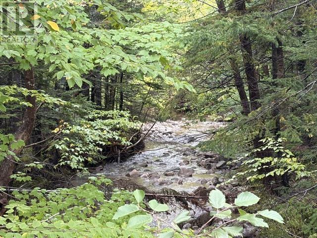Southside River Denys Road Property Photo 2