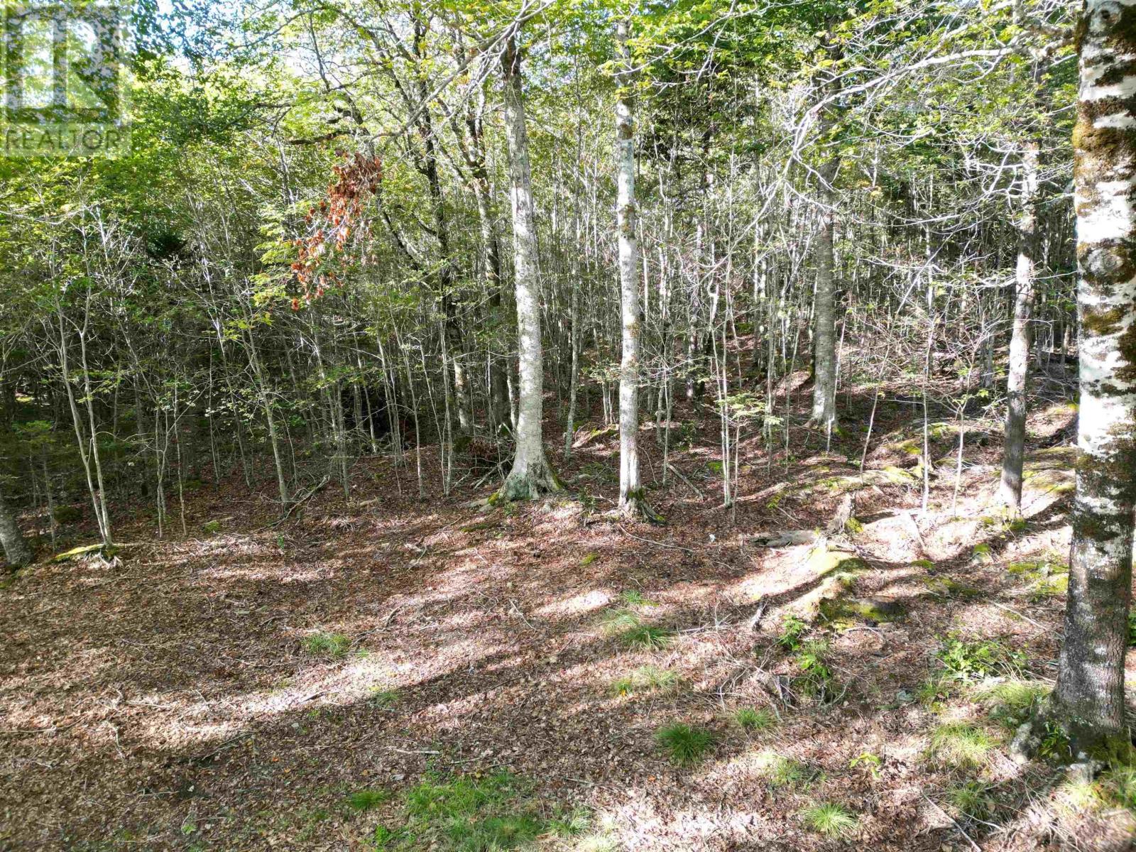 36 Blue Jay Road Property Photo 11