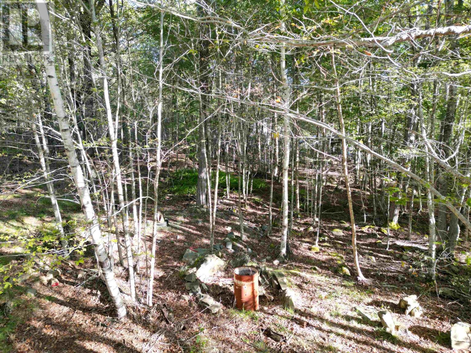 36 Blue Jay Road Property Photo 12