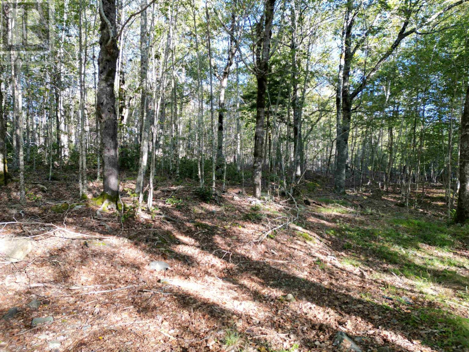 36 Blue Jay Road Property Photo 14