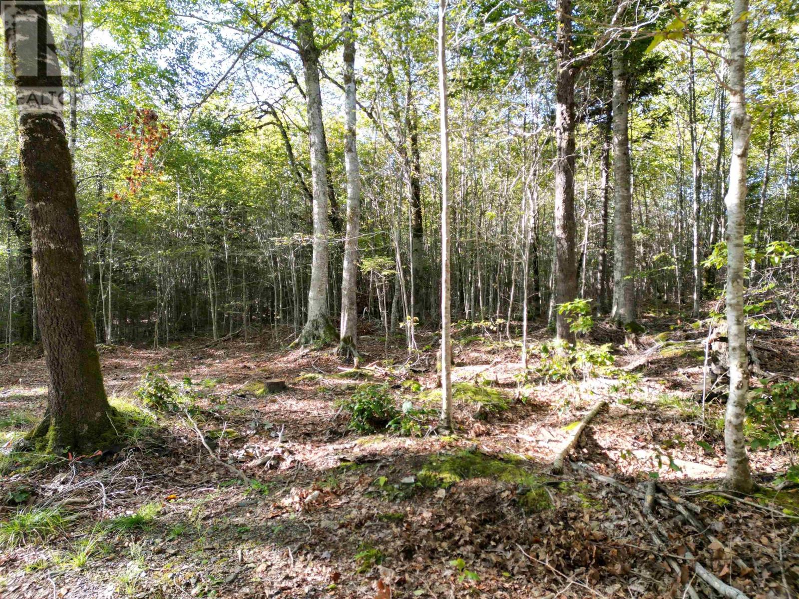 36 Blue Jay Road Property Photo 16
