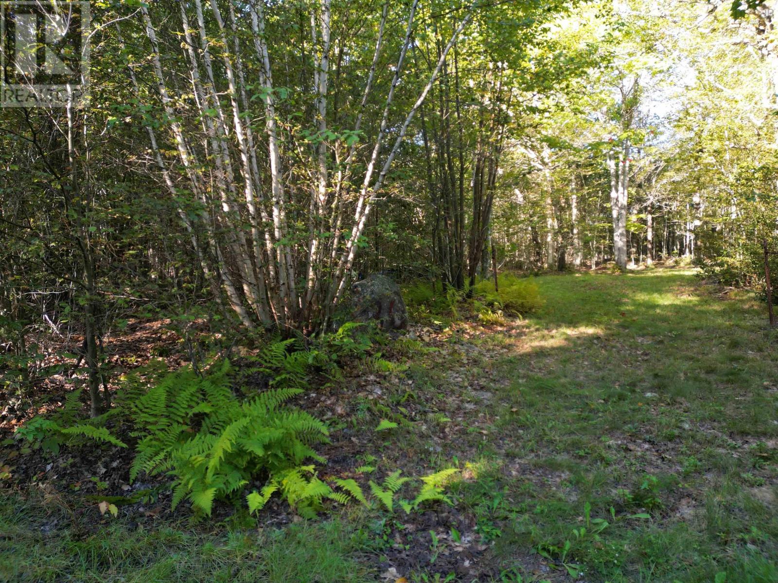 36 Blue Jay Road Property Photo 19