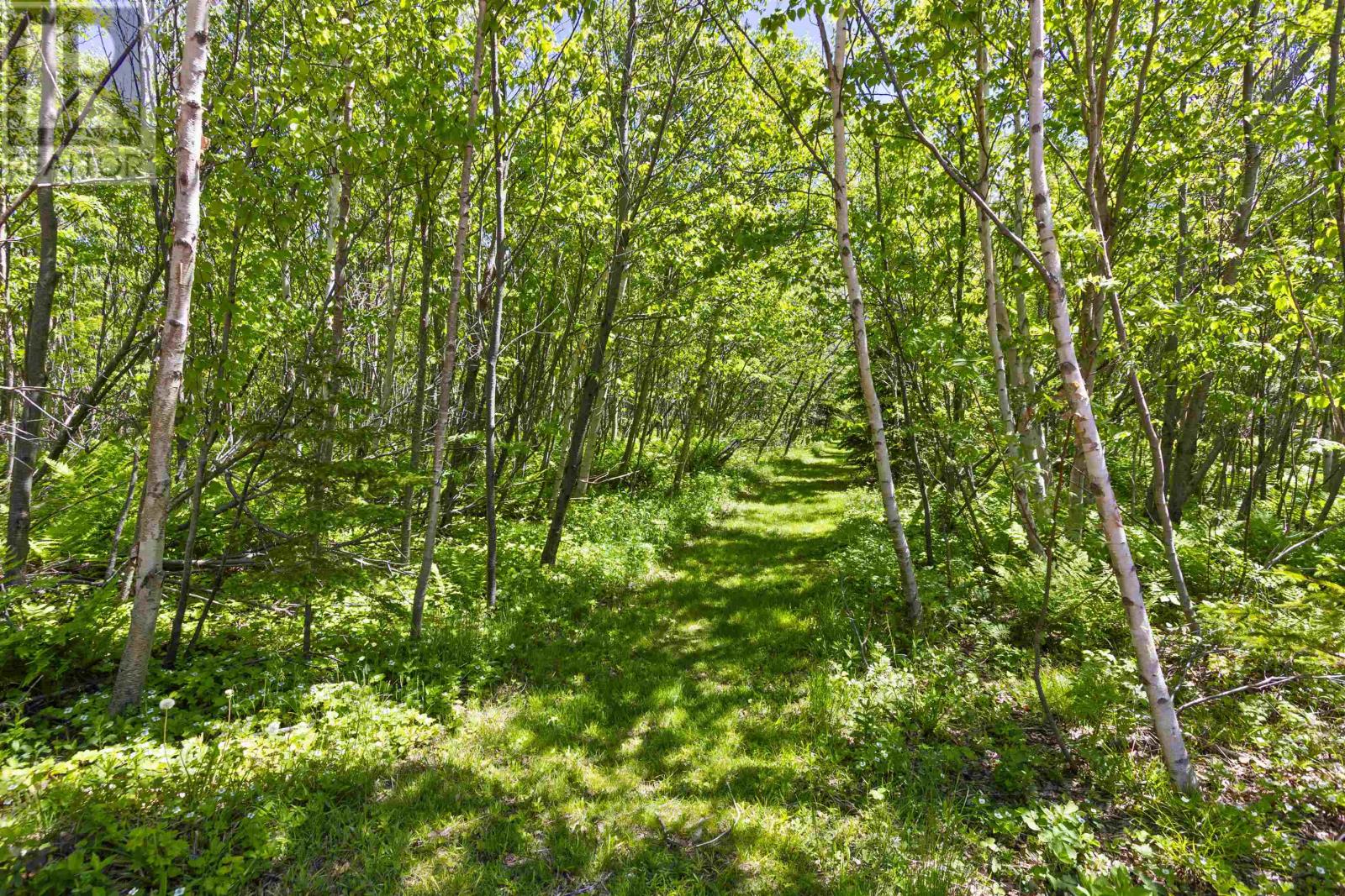 280 Lighthouse Road Property Photo 46