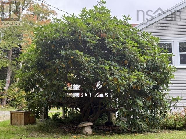 7813 7 Highway Property Photo 39