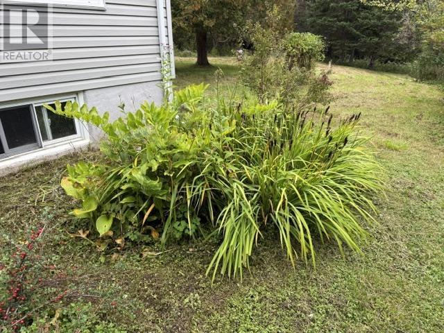 7813 7 Highway Property Photo 40