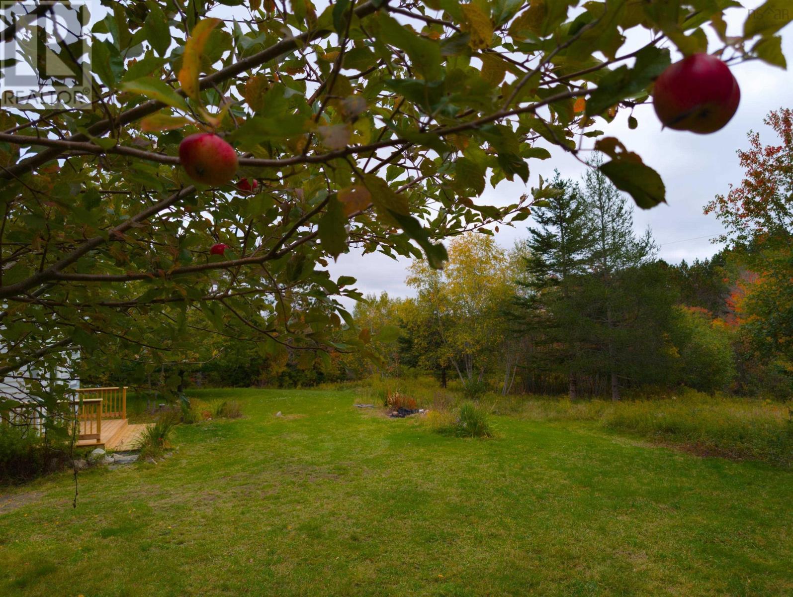 6220 Sissiboo Road Property Photo 11