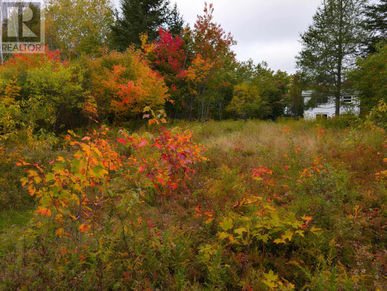 6220 Sissiboo Road Property Photo 14