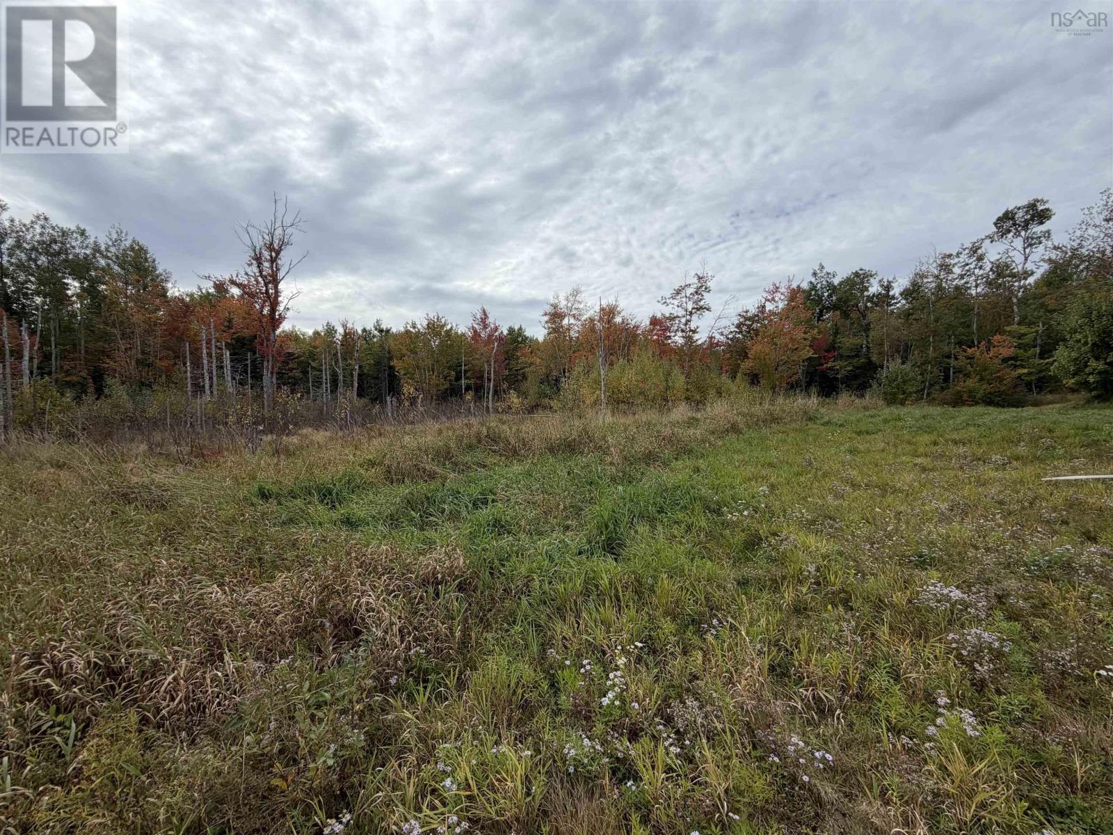 1852 River John Road Property Photo 6
