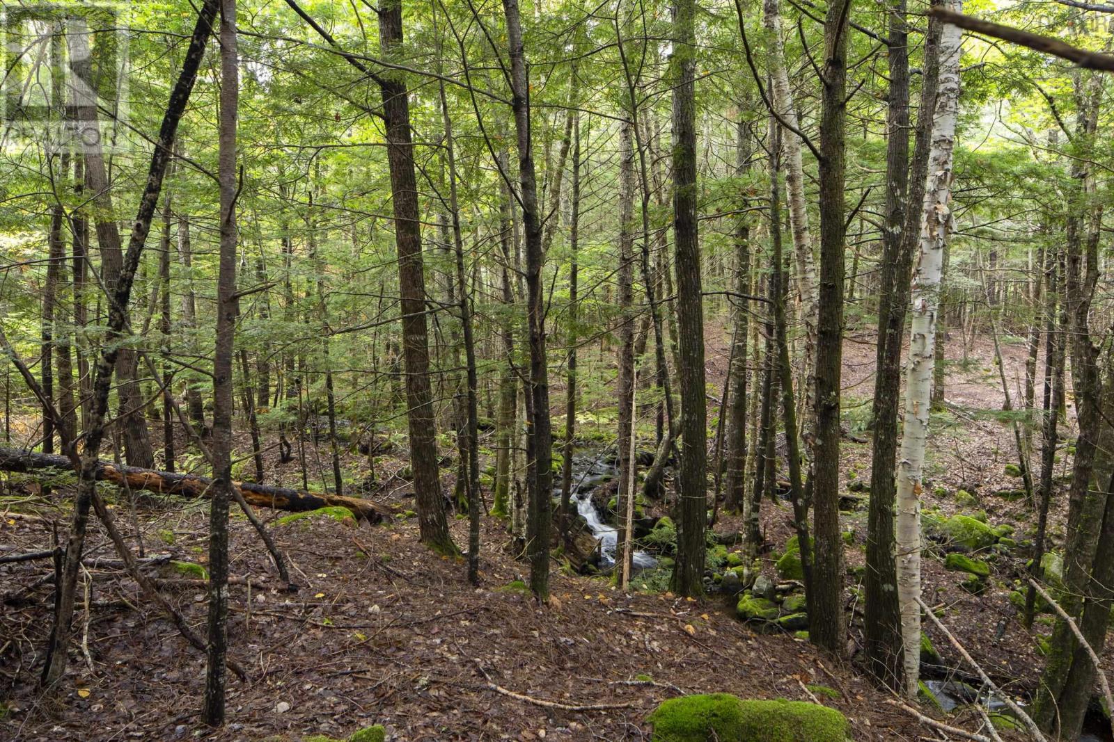 78 White Birch Lane Property Photo 43
