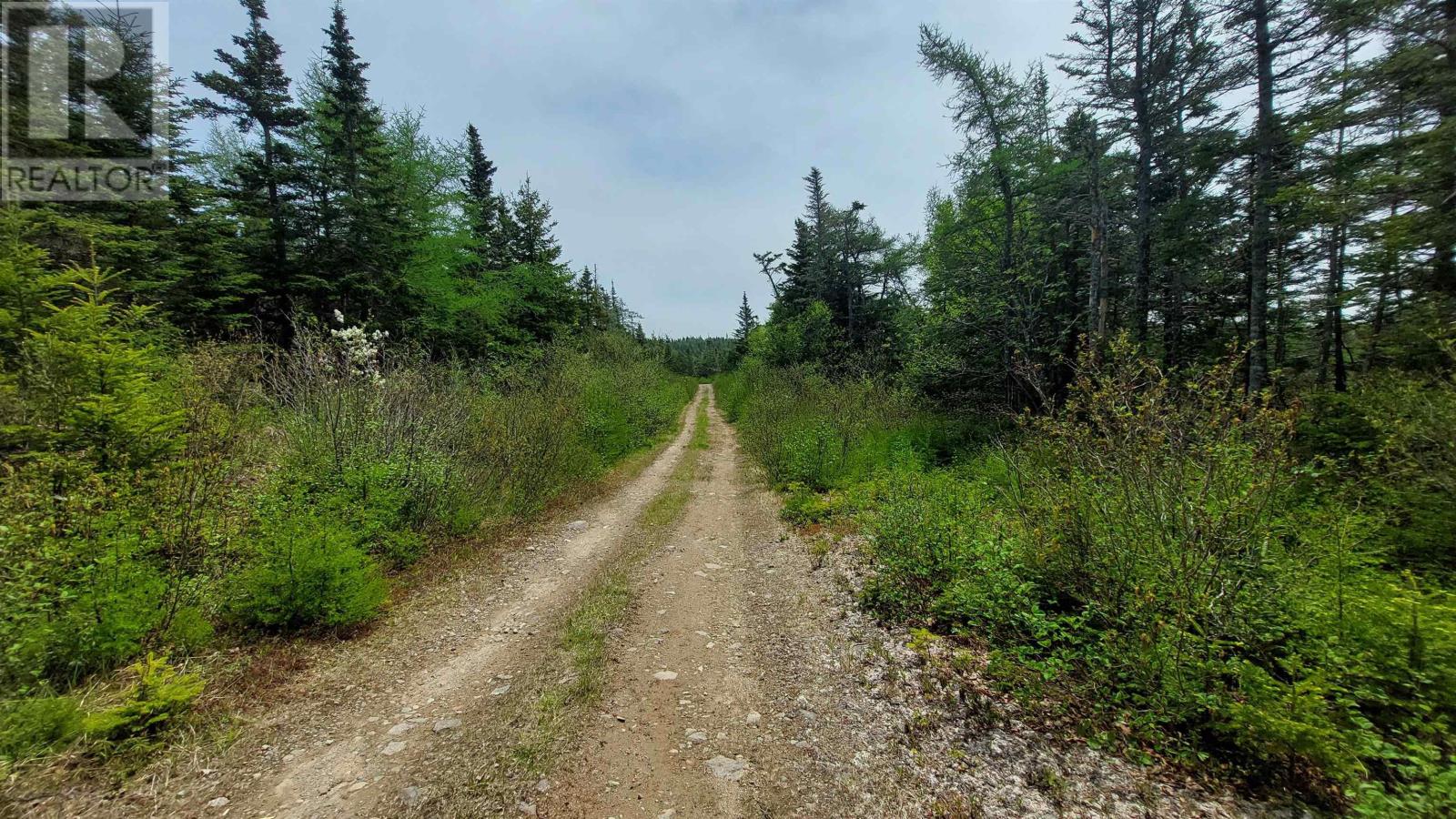 226 Acre Mackenzie Lake Rd Property Photo 6