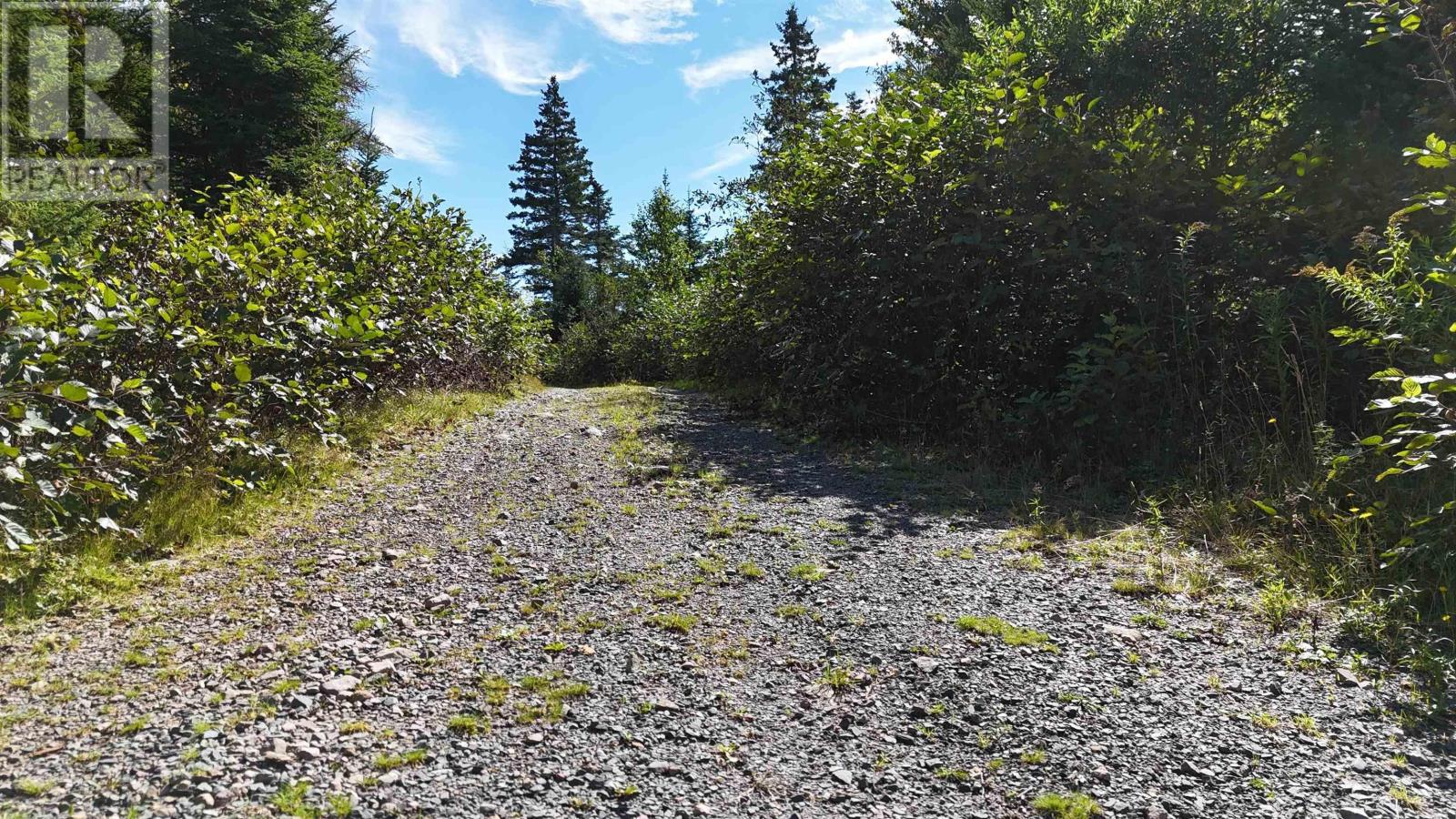 226 Acre Mackenzie Lake Rd Property Photo 7
