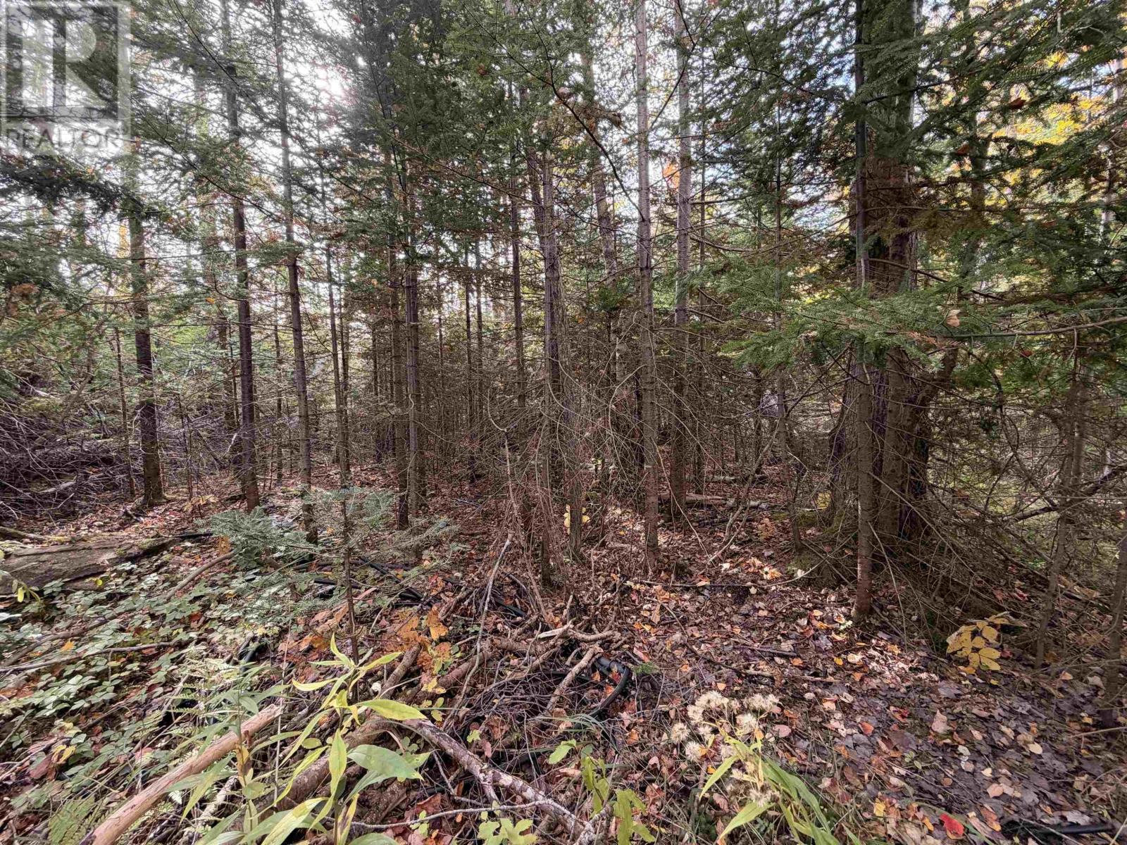 Lot 9 Brule Shore Road Property Photo 6