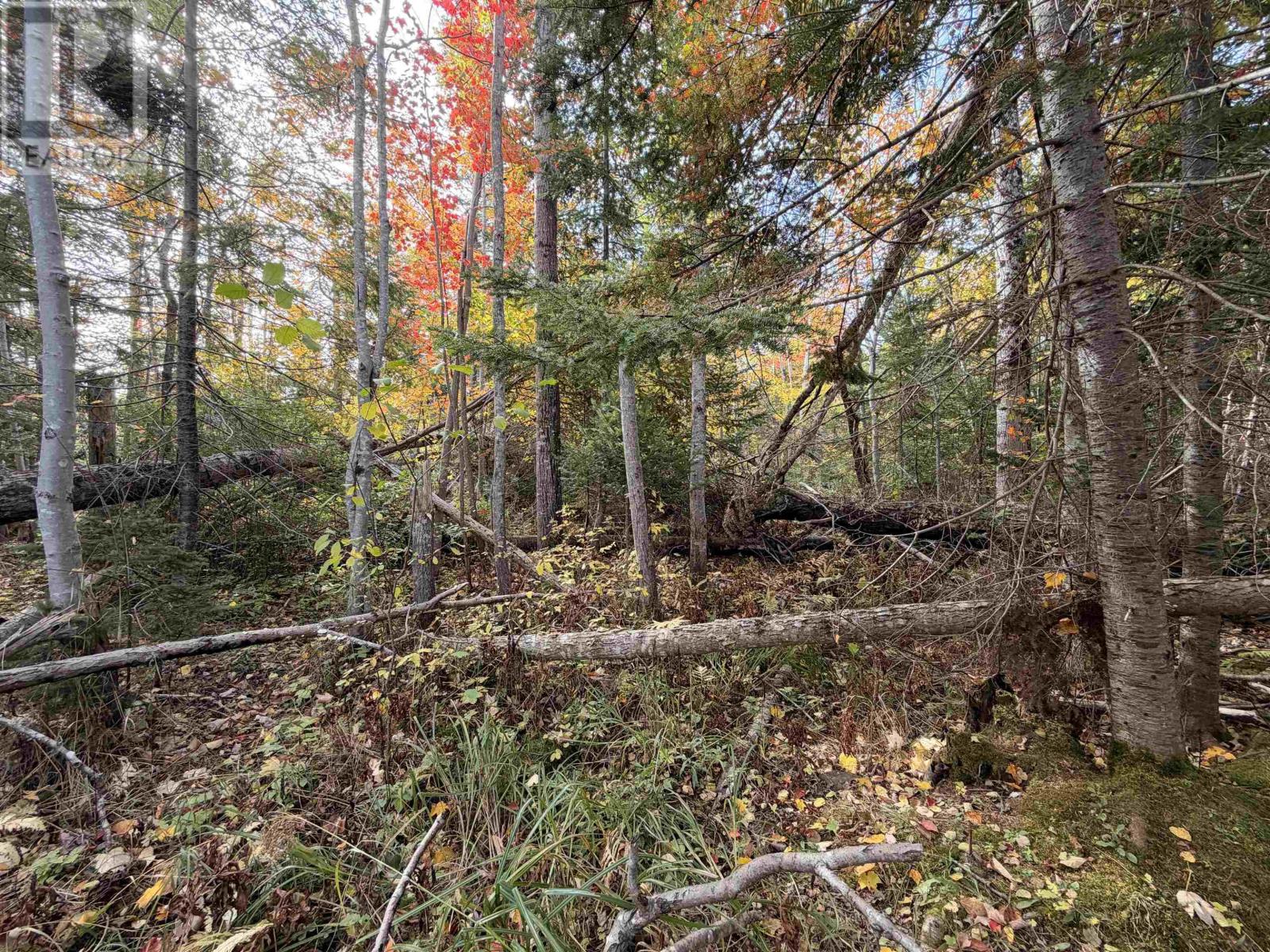 Lot 9 Brule Shore Road Property Photo 7