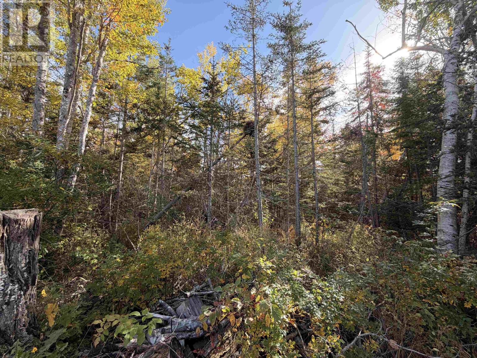 Lot 9 Brule Shore Road Property Photo 8