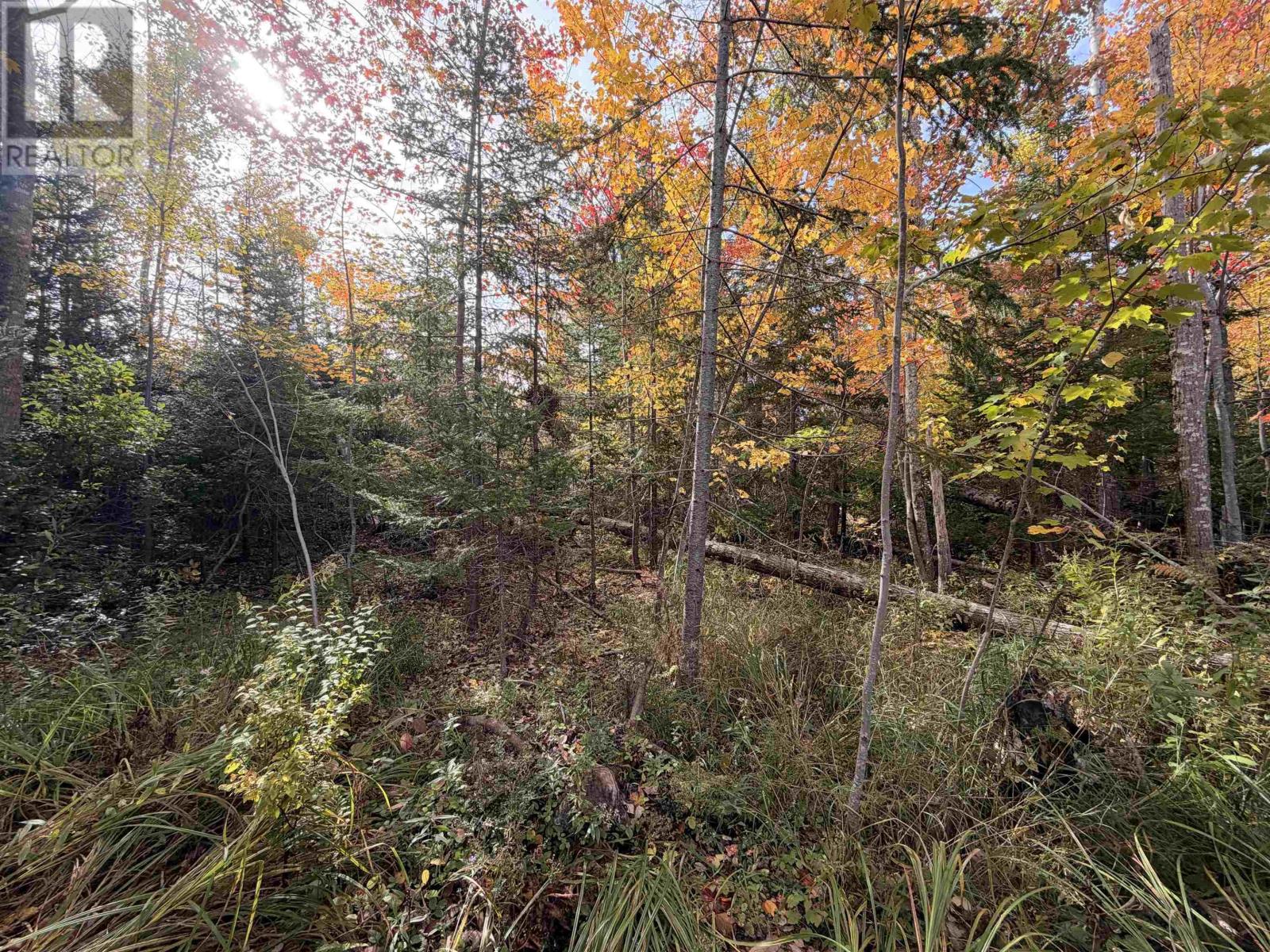 Lot 9 Brule Shore Road Property Photo 10