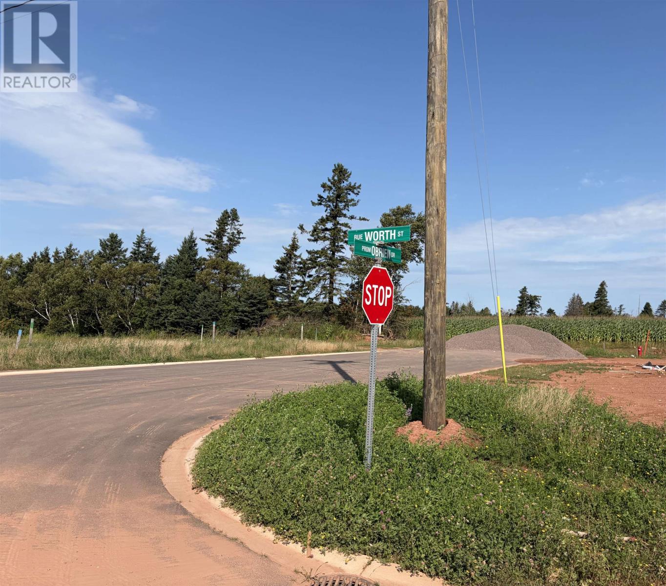 9 Worth Street Property Photo 41