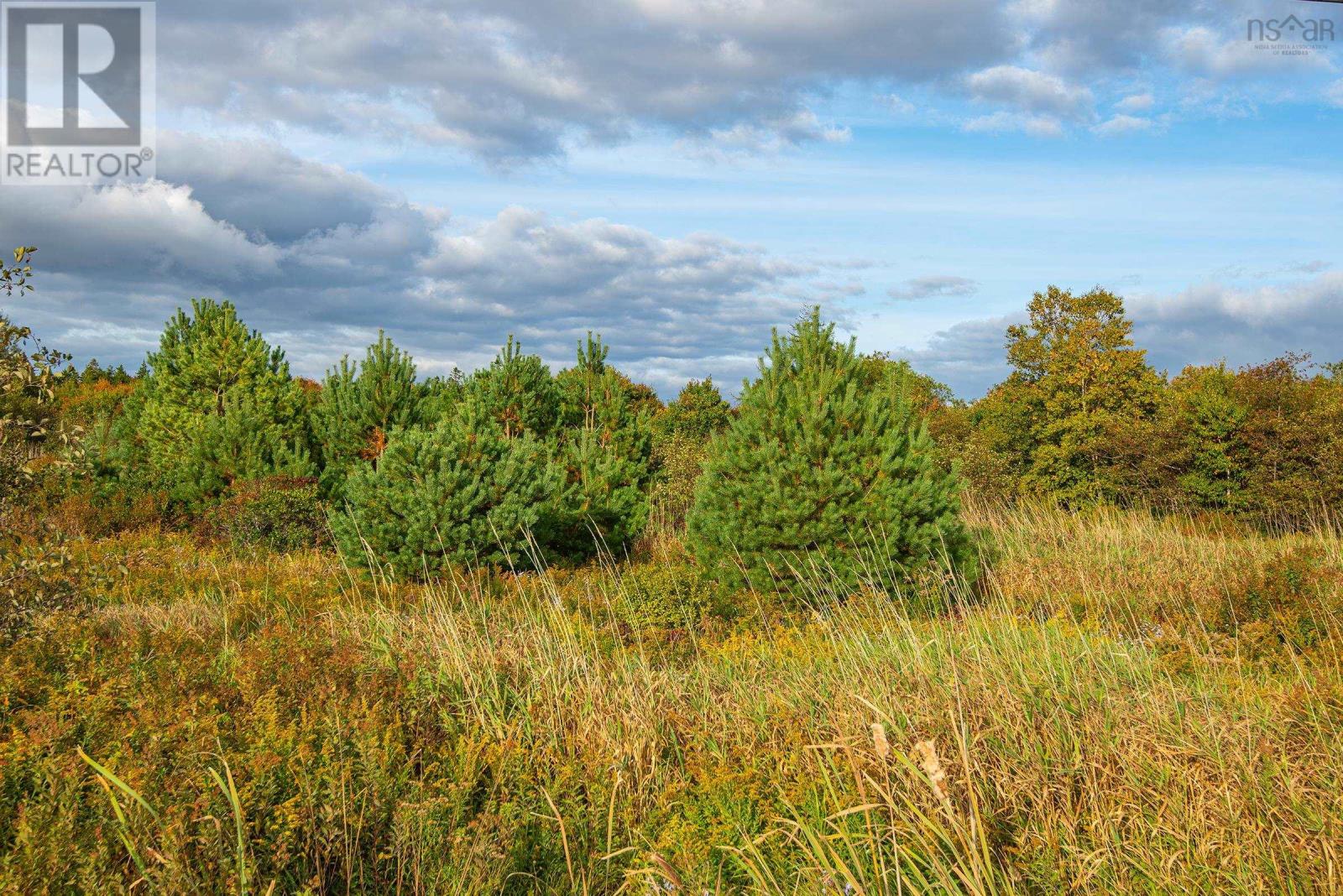 Lot Eustache Comeau Road Property Photo 14