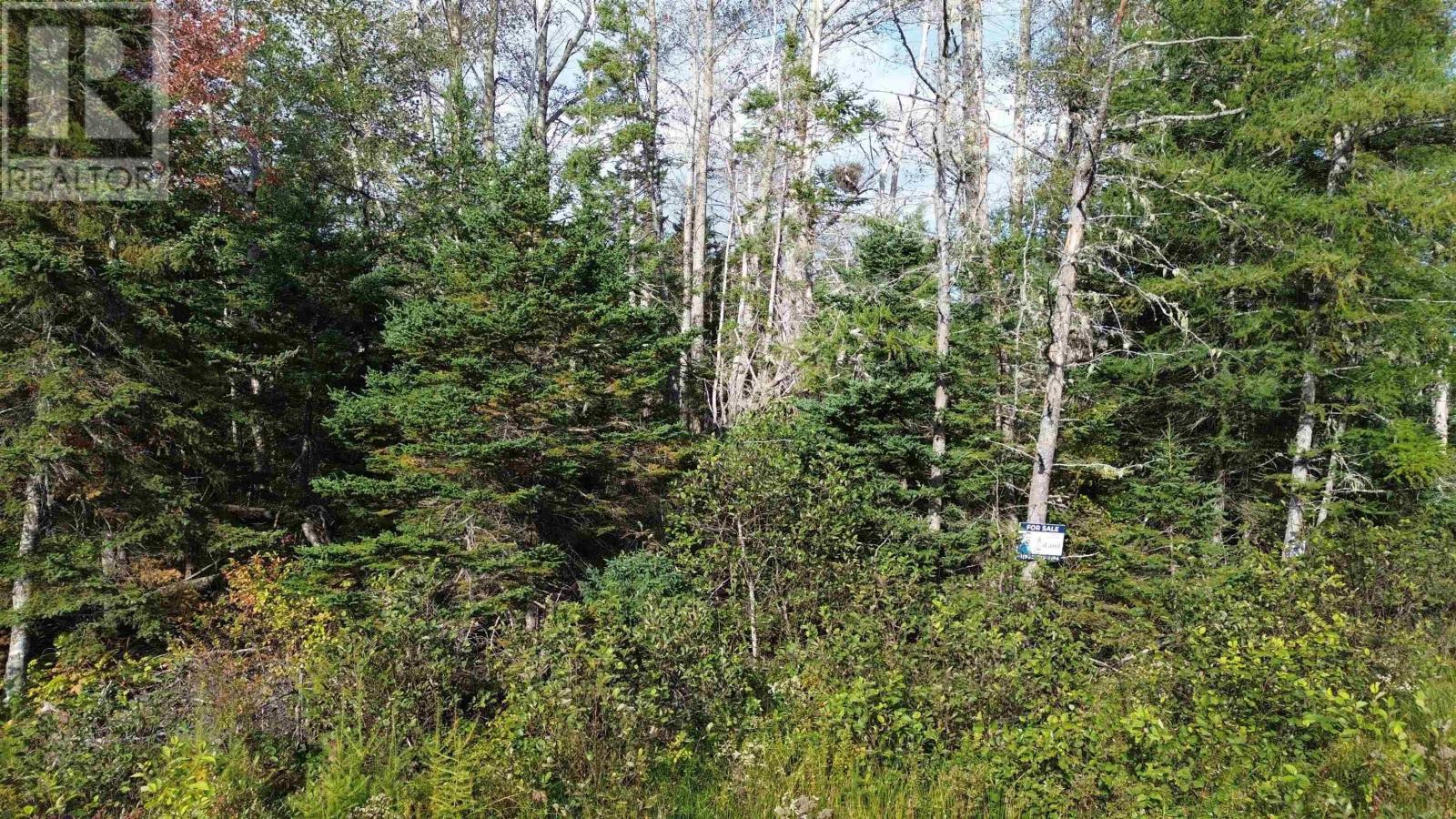 No 4 Highway Property Photo 3