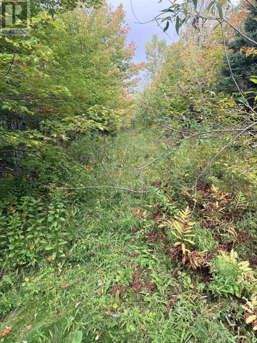 Highway 105 Property Photo 3