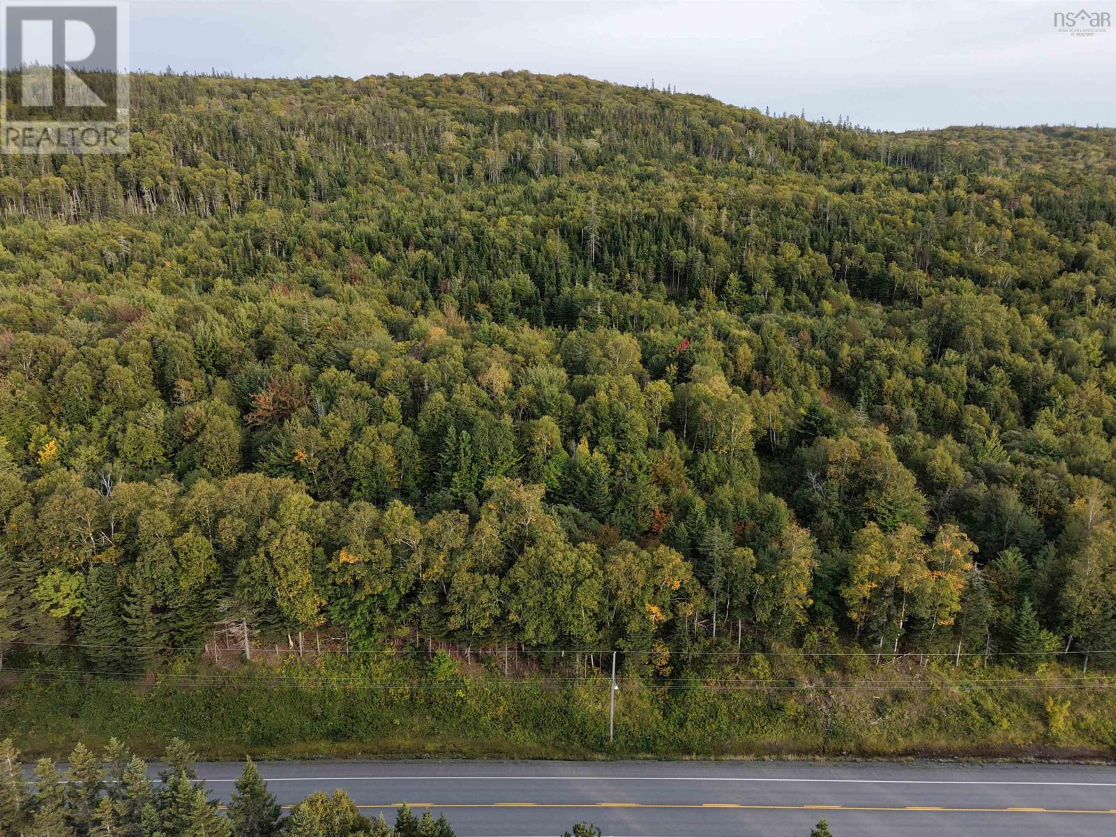 Highway 105 Property Photo 5