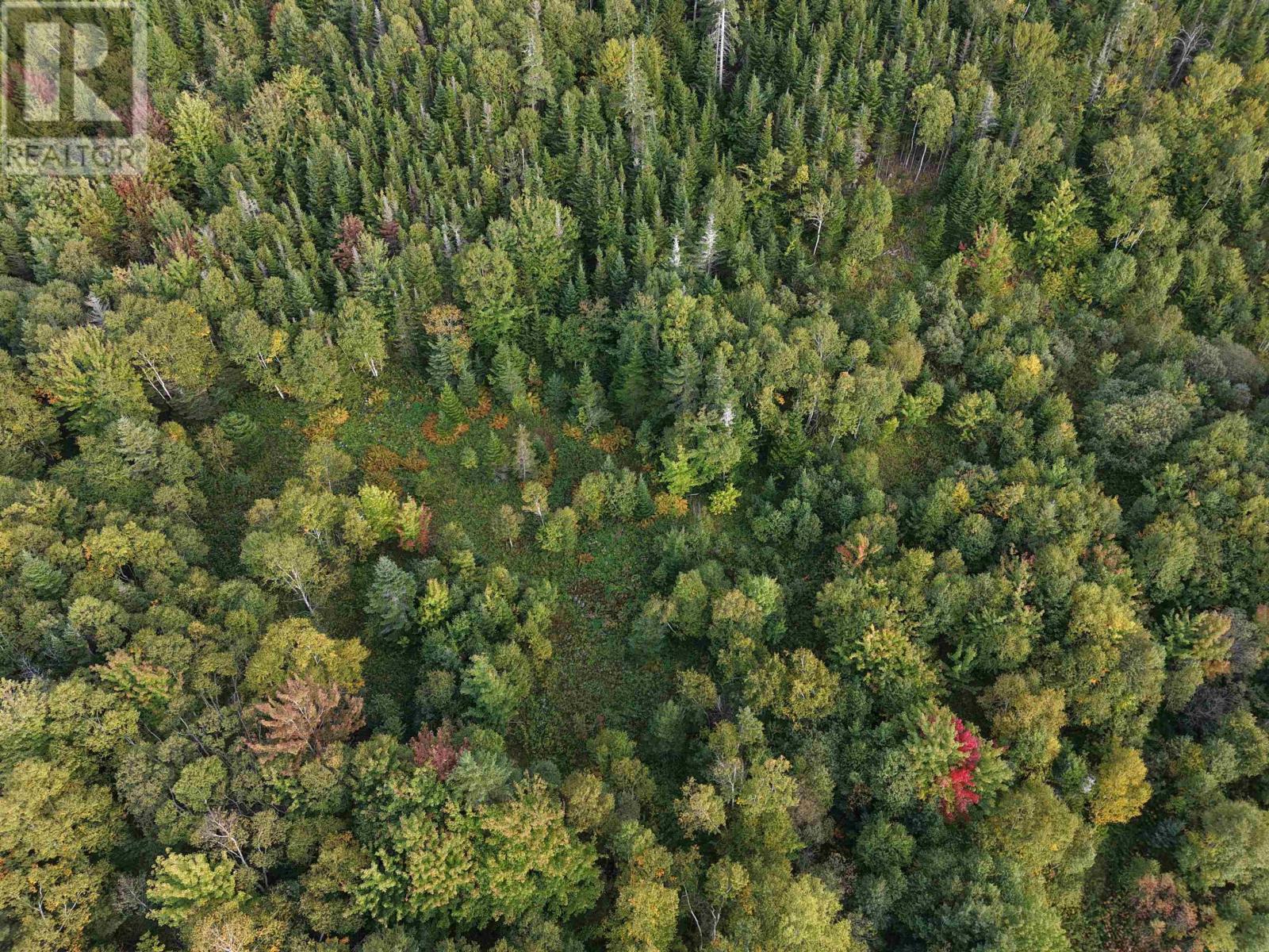 Highway 105 Property Photo 18