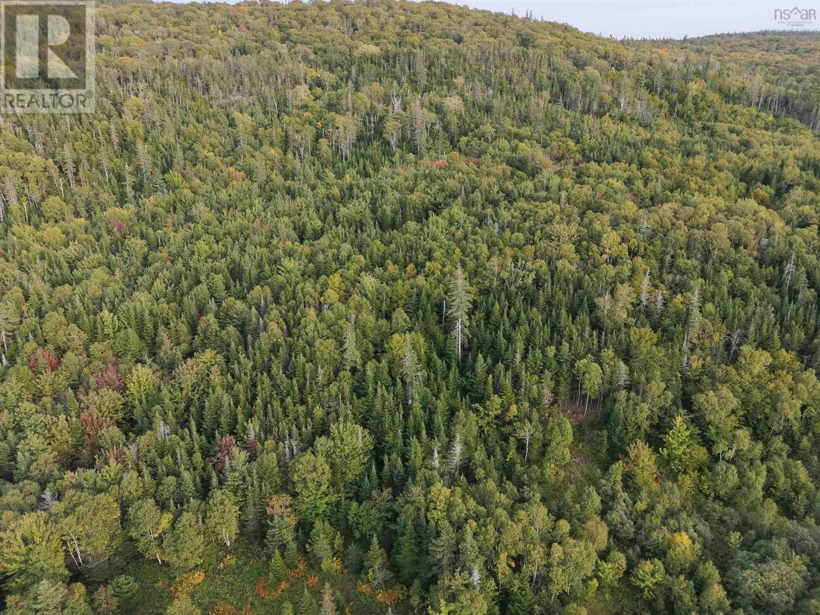 Highway 105 Property Photo 26