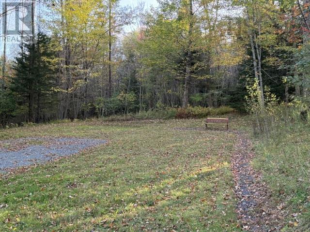 231 Lower Branch Road Property Photo 23