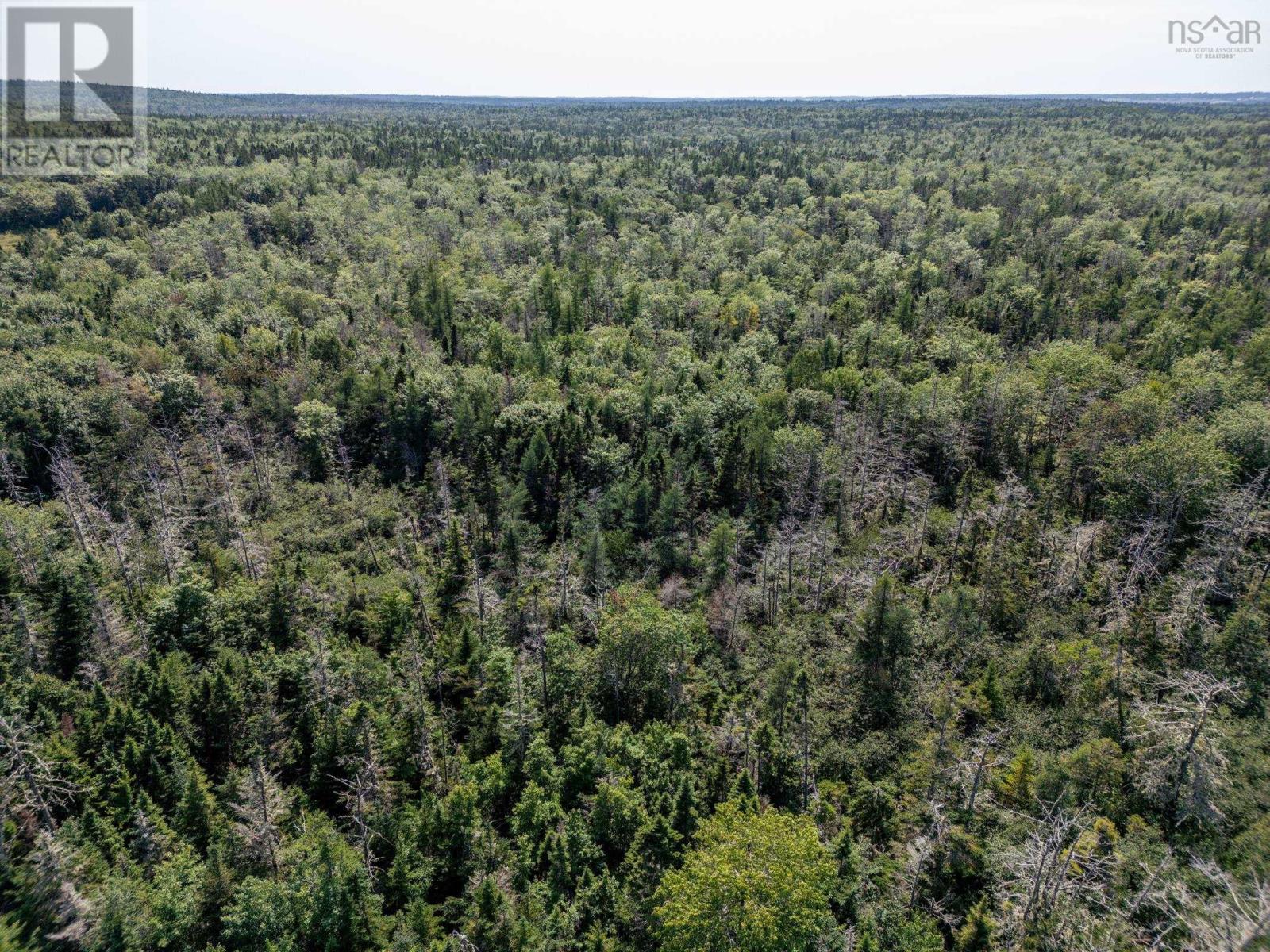 Lot 334 Highway Property Photo 8