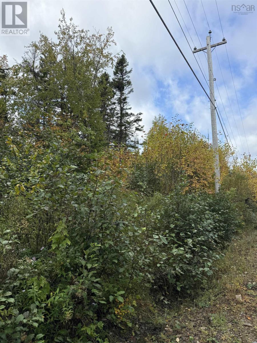 Tower Road Property Photo 8