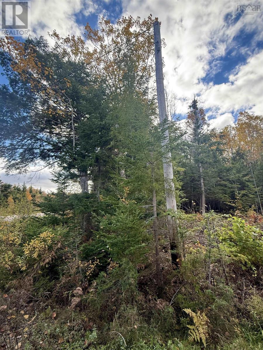 1965 326 Highway Property Photo 5