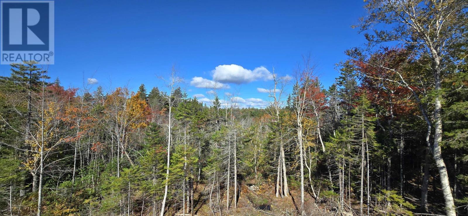 15 Yellow Birch Lane Property Photo 14