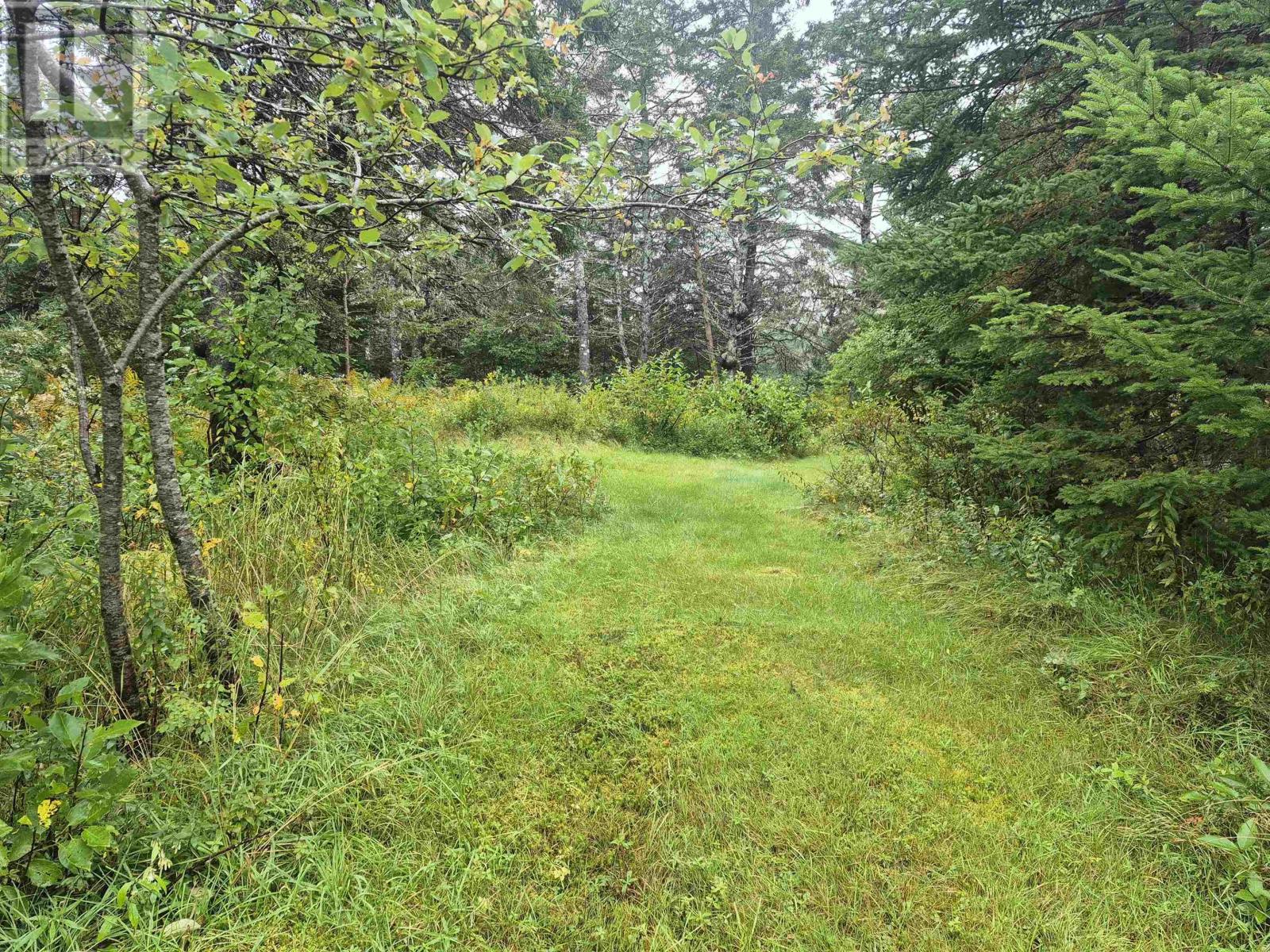 588 Isaacs Harbour Road Property Photo 28